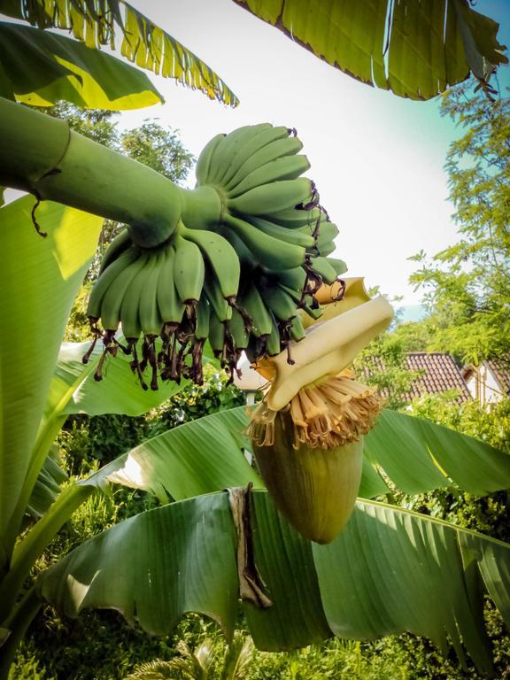 Il Giardino Delle Farfalle Valgioie Dış mekan fotoğraf