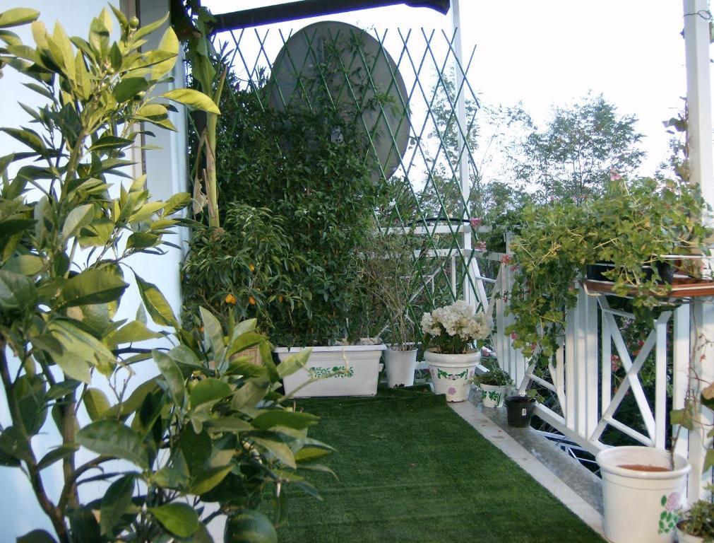 Il Giardino Delle Farfalle Valgioie Dış mekan fotoğraf