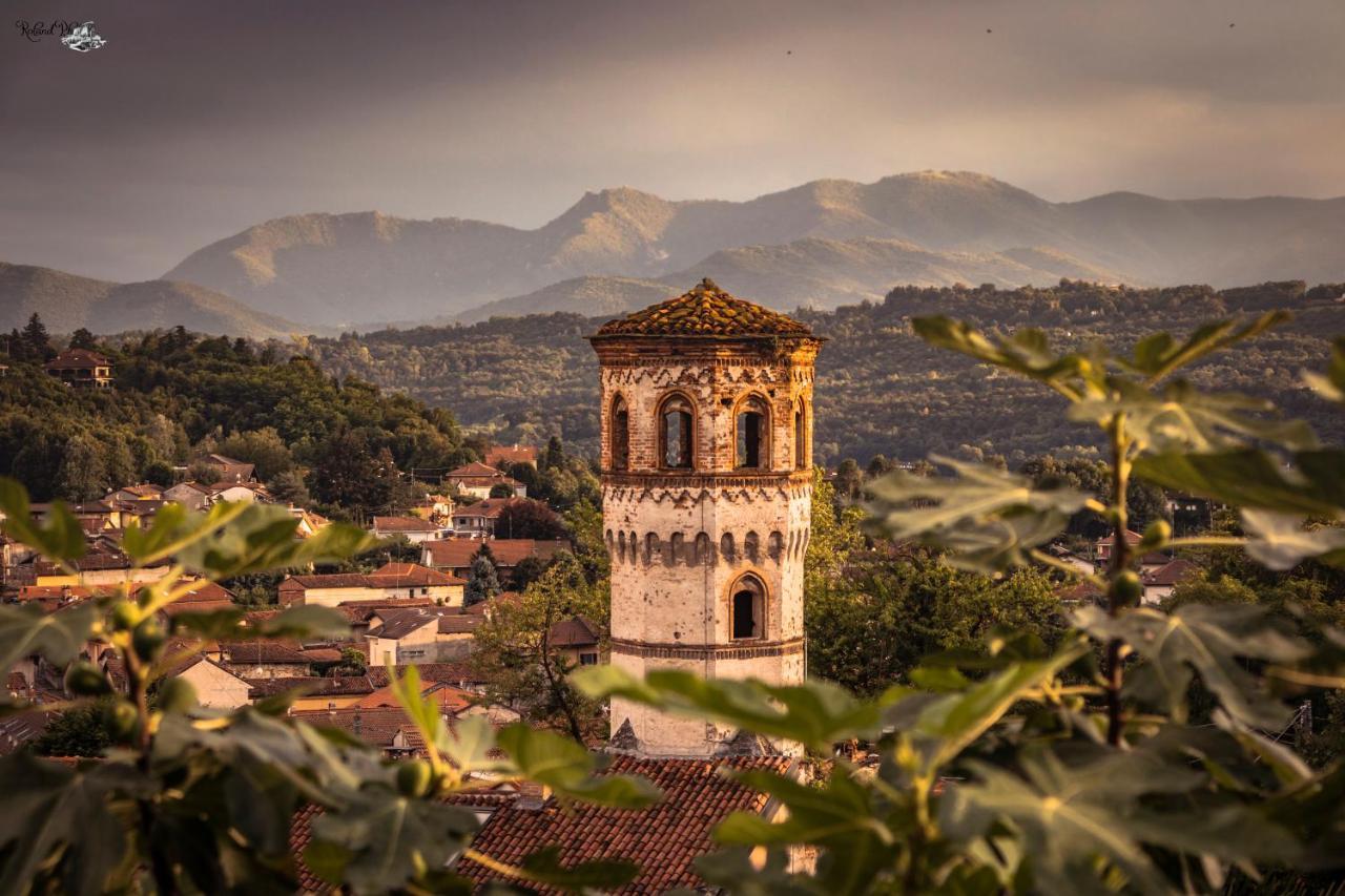 Il Giardino Delle Farfalle Valgioie Dış mekan fotoğraf